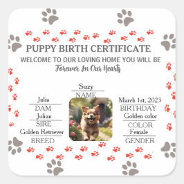 カスタム誕生証明書 スクエアシール