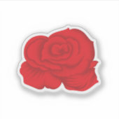 カスタム車デカール。耐候性。ビニール。はっきりした. シール (正面)