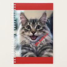 カスタム週次/月次