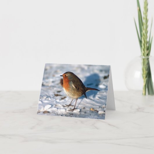 カスタム雪の中のロビン シーズンカード (正面)