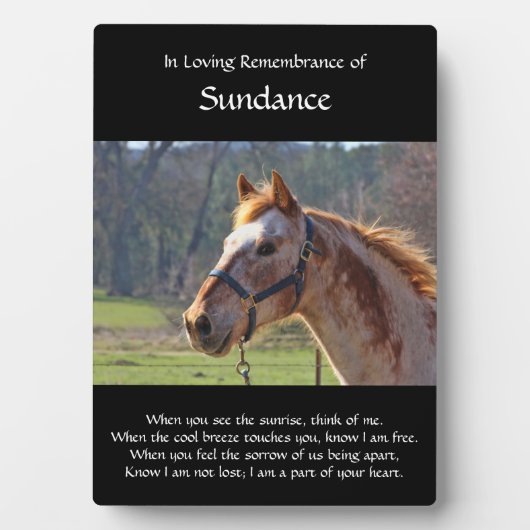 カスタム馬の名前と記念写真 フォトプラーク (正面)