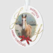 カスタム馬の名前Photo Equestrian オーナメント (正面)