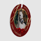 カスタム馬名の写真 オーナメント (正面)