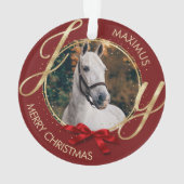 カスタム馬名の写真 オーナメント (裏面)