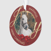 カスタム馬名の写真 オーナメント (正面)