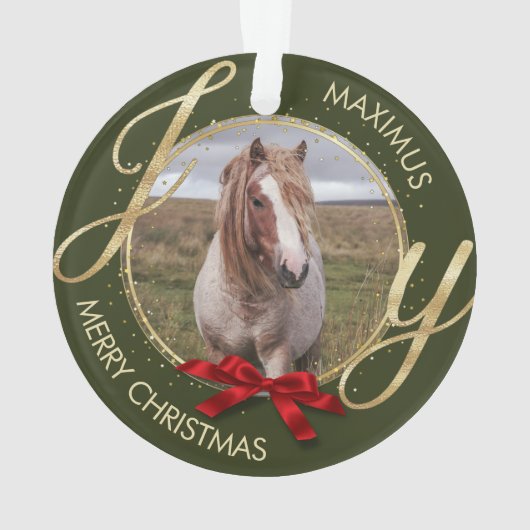 カスタム馬名フォト馬好き オーナメント (裏面)