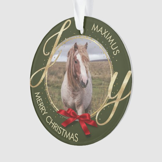 カスタム馬名フォト馬好き オーナメント (正面)