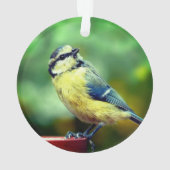 カスタム黄色=焼き鳥の写真パーソナライズされた オーナメント (裏面)