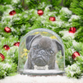 カスタム黒犬の写真 (クリスマス)