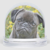 カスタム黒犬の写真 (裏面)