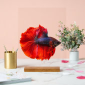 カスタム11" x 14"アクリル記号、ウッドブロック付き アクリルサイン (ウェディング)