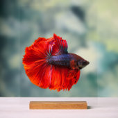 カスタム11" x 14"アクリル記号、ウッドブロック付き アクリルサイン (ニュートラル)