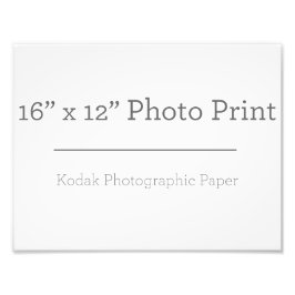 カスタム16 x 12フォトプリント フォトプリント           