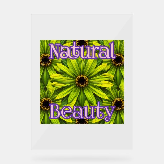 カスタム18" x 24"アクリル記号 アクリルサイン (正面)