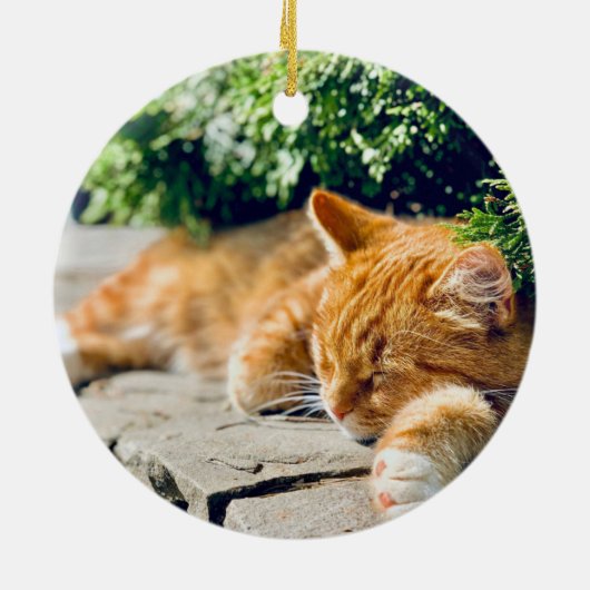 カスタム2フォトペット記念記念クリスマス セラミックオーナメント (裏面)