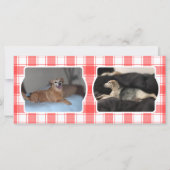 カスタム3フォトレッド&ホワイトカントリーファームハウスプレイド (裏面)