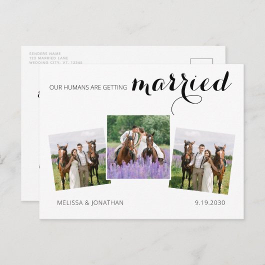 カスタム3写真馬ペット結婚式の日付を保存 案内ポストカード (正面/裏面)