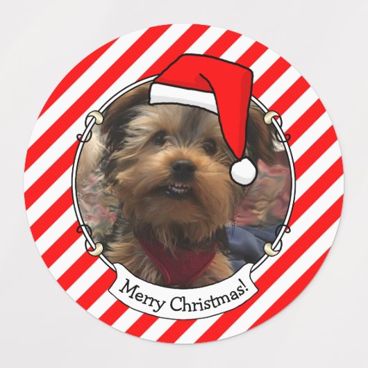 カスタム3枚フォトペットクリスマスサンタハット ラベル (デザイン2)