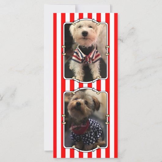 カスタム3枚USAアメリカ国旗かわいい (裏面)