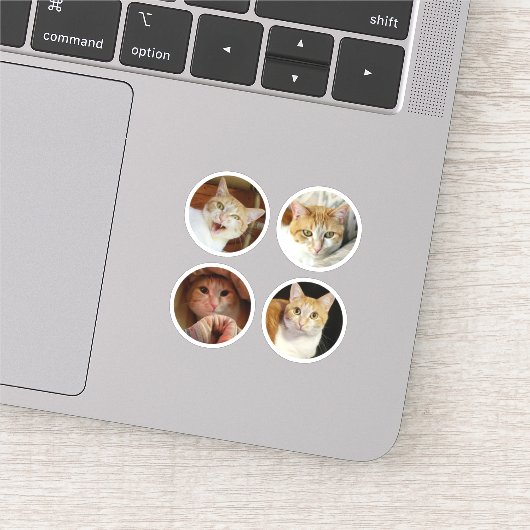 カスタム4フォトコラージミニマリストラウンドミニビニール シール (詳細)