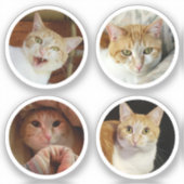 カスタム4フォトコラージミニマリストラウンドミニビニール シール (正面)