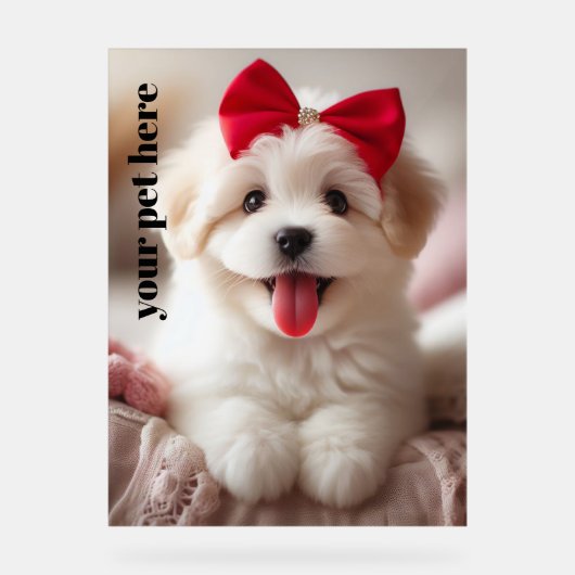 カスタム アクリルサイン (正面)