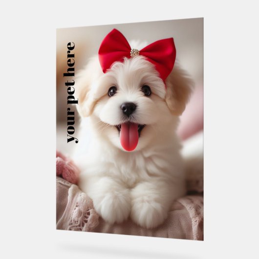 カスタム アクリルサイン (傾斜)