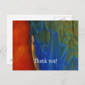 カスタム カラフル マカオ インコ 羽根 サンクス ポストカード (正面/裏面)