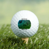 カスタム タイトリスト 2023 Pro V1 ゴルフボール (インサイチュ 木)
