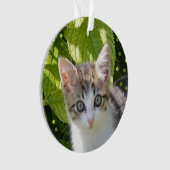 カスタム タビー子猫 写真 オーナメント (正面)