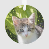 カスタム タビー子猫 写真 オーナメント (裏面)
