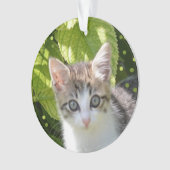 カスタム タビー子猫 写真 オーナメント (正面)