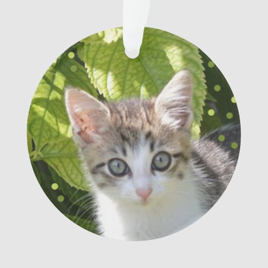 カスタム タビー子猫 写真 オーナメント (正面)
