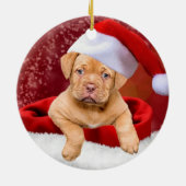 カスタム ピットブル 子犬 写真 セラミックオーナメント (裏面)