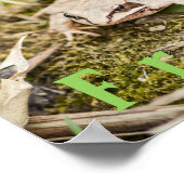 カスタム「フクロガエル」両生類 木のカエル ポスター (角)