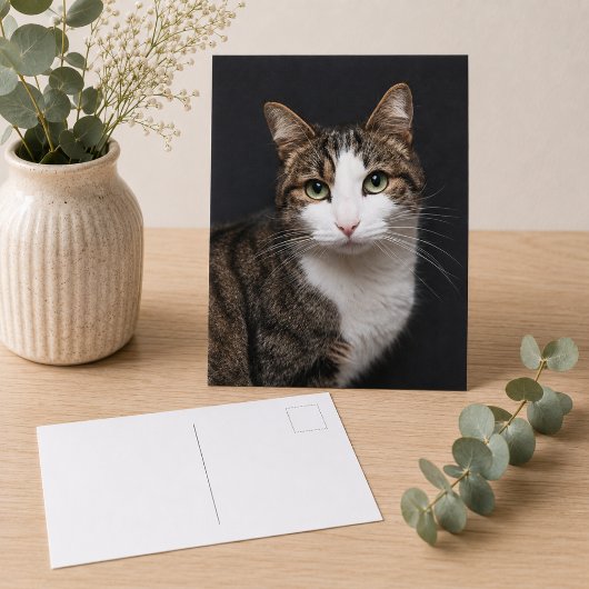 カスタム ブラウンタビー猫 単体ペット写真 ポストカード