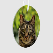 カスタム ブラウン タビー 猫 写真 オーナメント (正面)