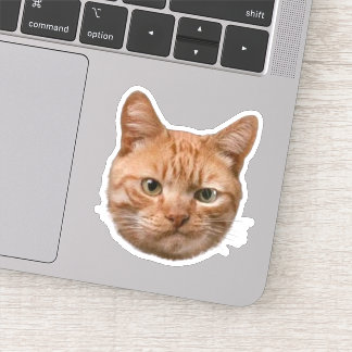 カスタム ペット ステッカー 犬 猫 写真 デカール