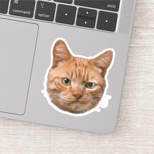 カスタム ペット ステッカー 犬 猫 写真 デカール (詳細)