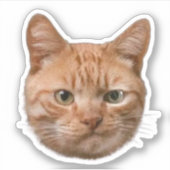 カスタム ペット ステッカー 犬 猫 写真 デカール (正面)