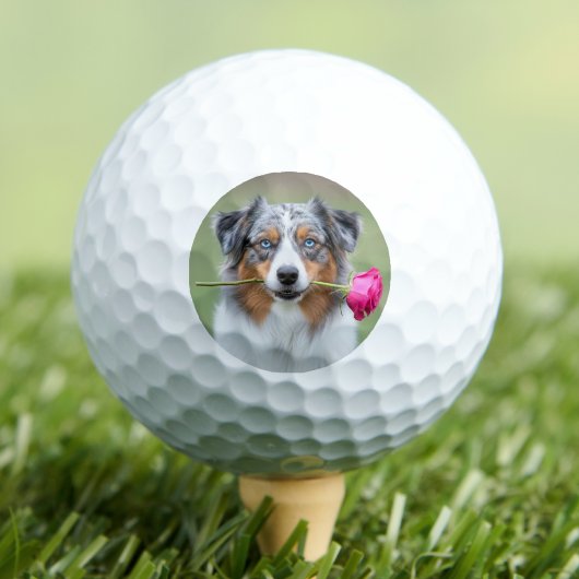 カスタム ペット 犬 写真 パーソナライズド ゴルフボール