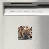 カスタム マグネット (インサイチュ (食洗機))