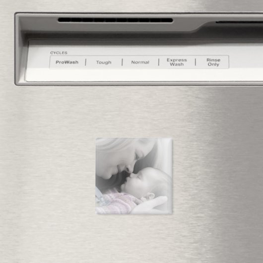 カスタム マグネット (インサイチュ (食洗機))