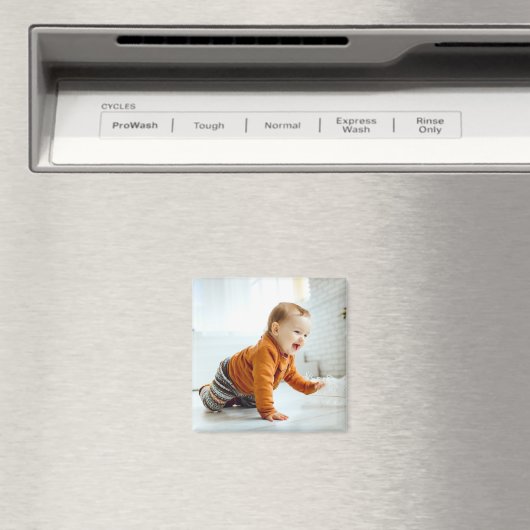 カスタム マグネット (インサイチュ (食洗機))