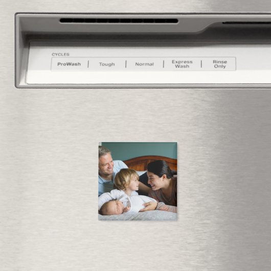 カスタム マグネット (インサイチュ (食洗機))