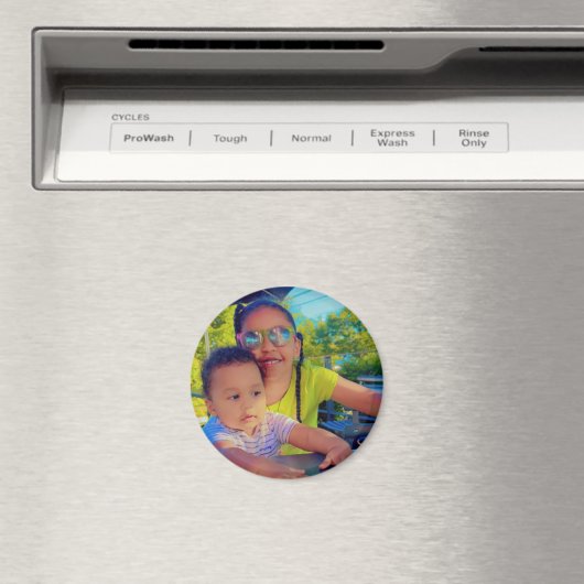 カスタム マグネット (インサイチュ (食洗機))