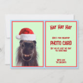 カスタム ユニーク 馬のジョーク 必須写真 シーズンカード (正面)