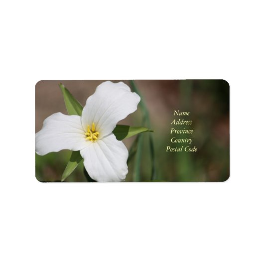 カスタム ラベル (正面)