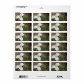 カスタム ラベル (フルシート)