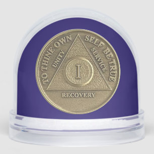 カスタム 奇跡が起こり、1年間の禁酒 AA コイン